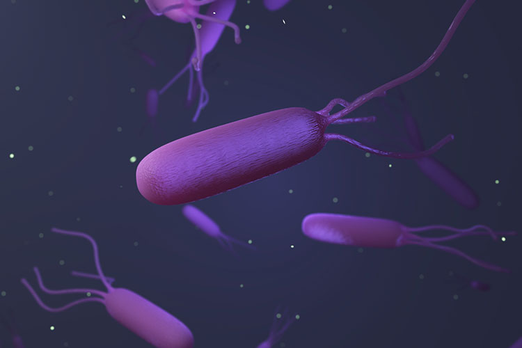 ピロリ菌検査画像